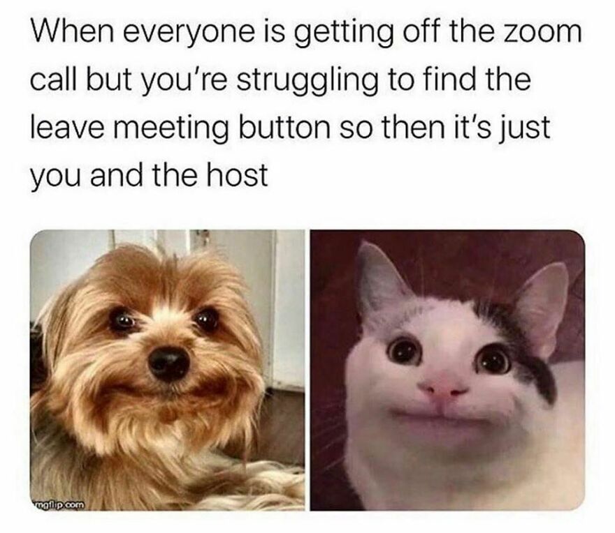 So Done With Zoom...