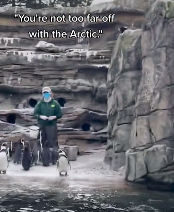 Kindergarten Teacher&rsquo;s Virtual Field Trip To The Zoo Is Melting People&rsquo;s Hearts