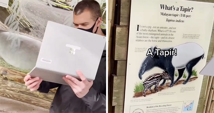 Kindergarten Teacher’s Virtual Field Trip To The Zoo Is Melting People’s Hearts