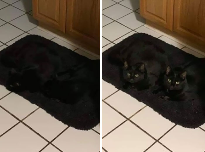 Void Rug
