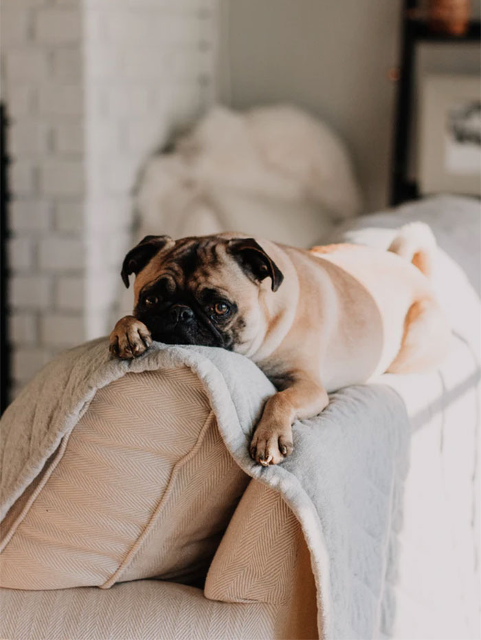 Men Are Sharing Examples Of Toxic Masculinity They've Faced In Person (30 Stories)