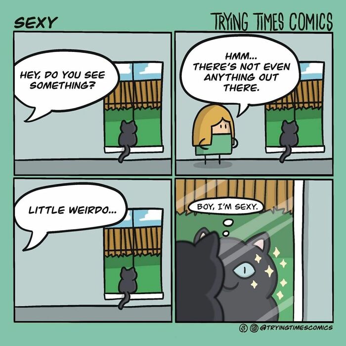 Trying-Times-Comics