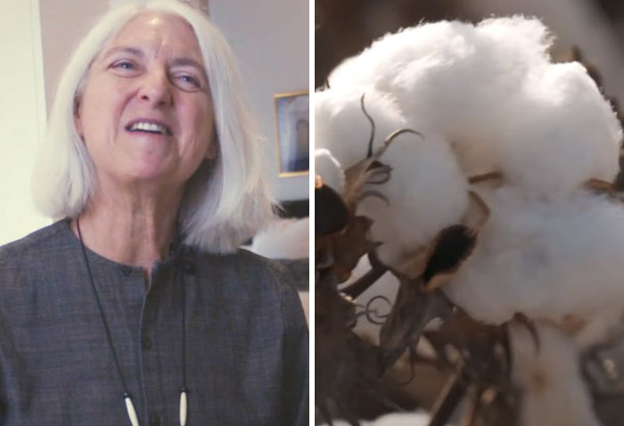 Sally Fox Invented Colored Cotton That Can Be Spun Into Thread On A Machine