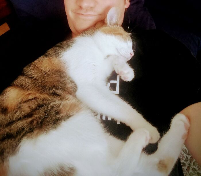 A Confusing Photo Goes Viral, And It Might Confuse You As Well