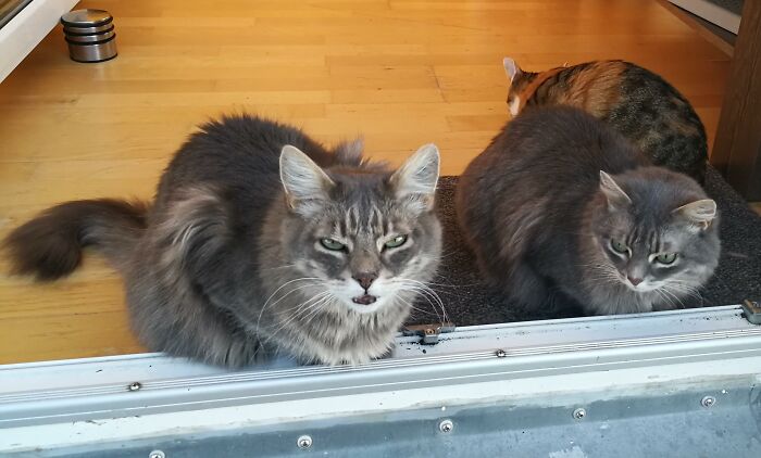 A Confusing Photo Goes Viral, And It Might Confuse You As Well