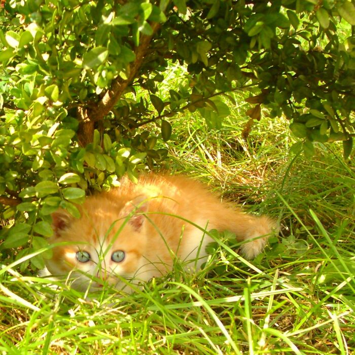 Frkolin {turning 14 In April}