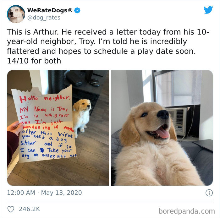 We-Rate-Dogs-Twitter