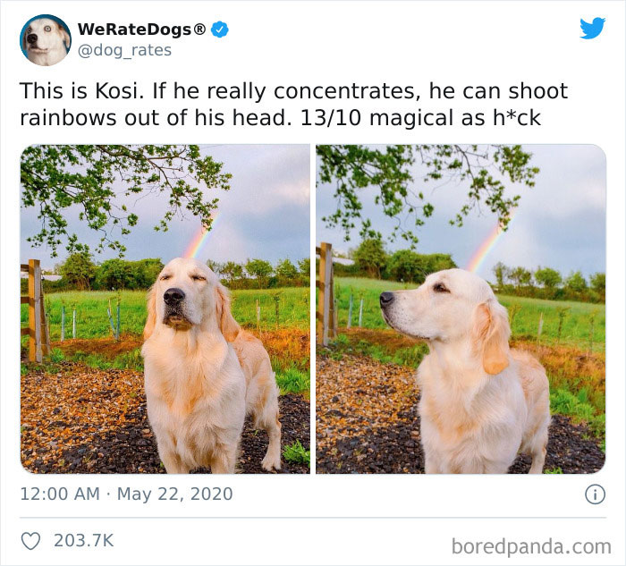 We-Rate-Dogs-Twitter