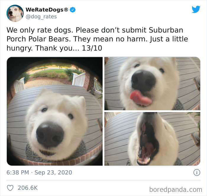 We-Rate-Dogs-Twitter