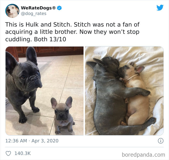We-Rate-Dogs-Twitter