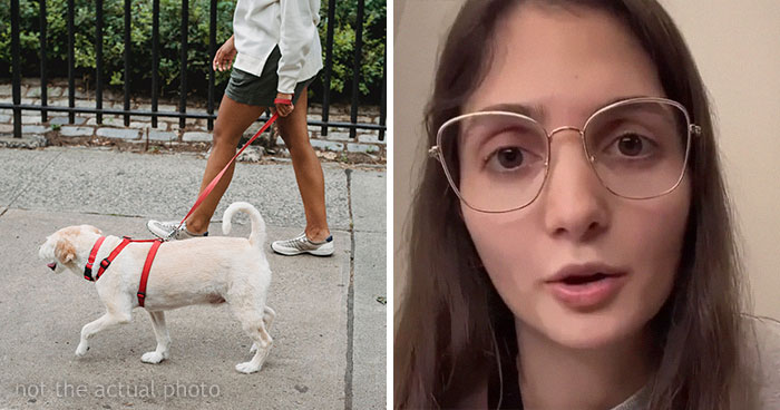 Woman Realizes A Guy Is Taking A Pic Of Her Address On Her Dog’s Collar, Not Her Dog, Shares How Her Quick Thinking Saved Her