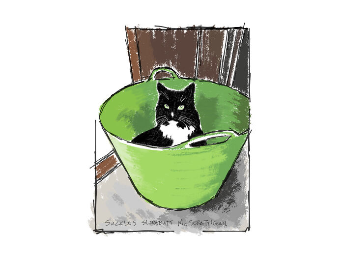 He Likes To Sit In Things And Meditate Upon Why He Likes To Sit In Things