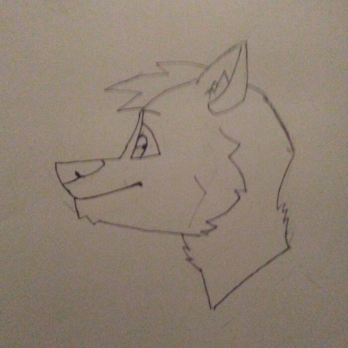 My Brother Drew This