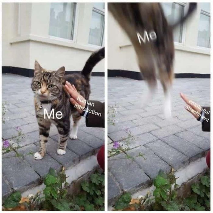 Hilarious-Introvert-Memes