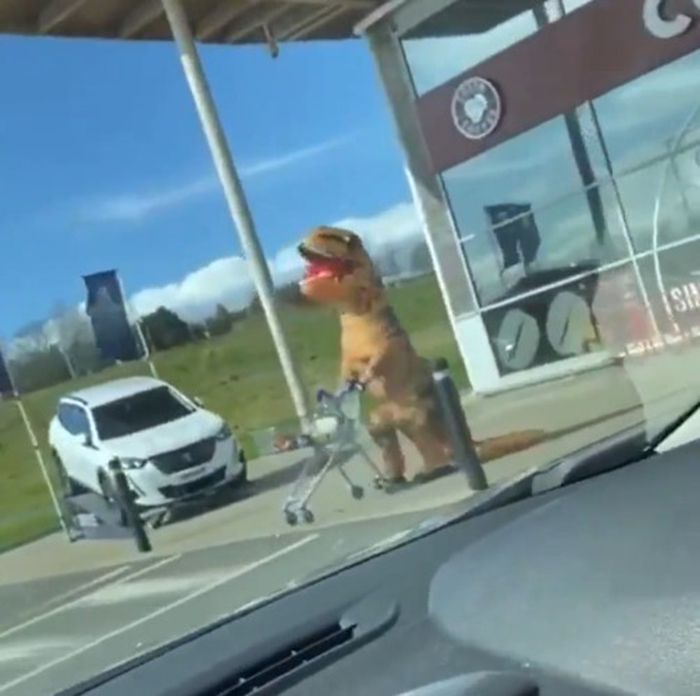 Corona Virus Pandemic? What Can I Wear To Protect Me Whilst I Shop In Tesco?