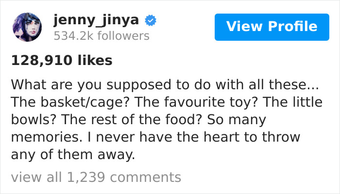 Artist Who Makes People Cry With Her Comics Released A Sequel To 'Little Fish' About The Spirit Of A Dog Visiting Its Owner Who Got A New Puppy Artist Who Makes People Cry With Her Comics Released A Sequel To 'Little Fish' About The Spirit Of A Dog Visiting Its Owner Who Got A New Puppy