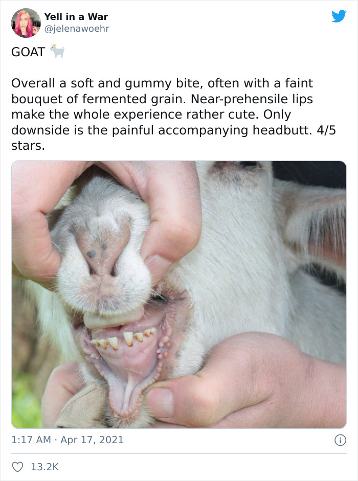 Animal-Bites-Being-Bitten-Review-Ranking-Twitter