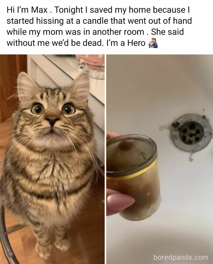 Fire Prevention Officer Max