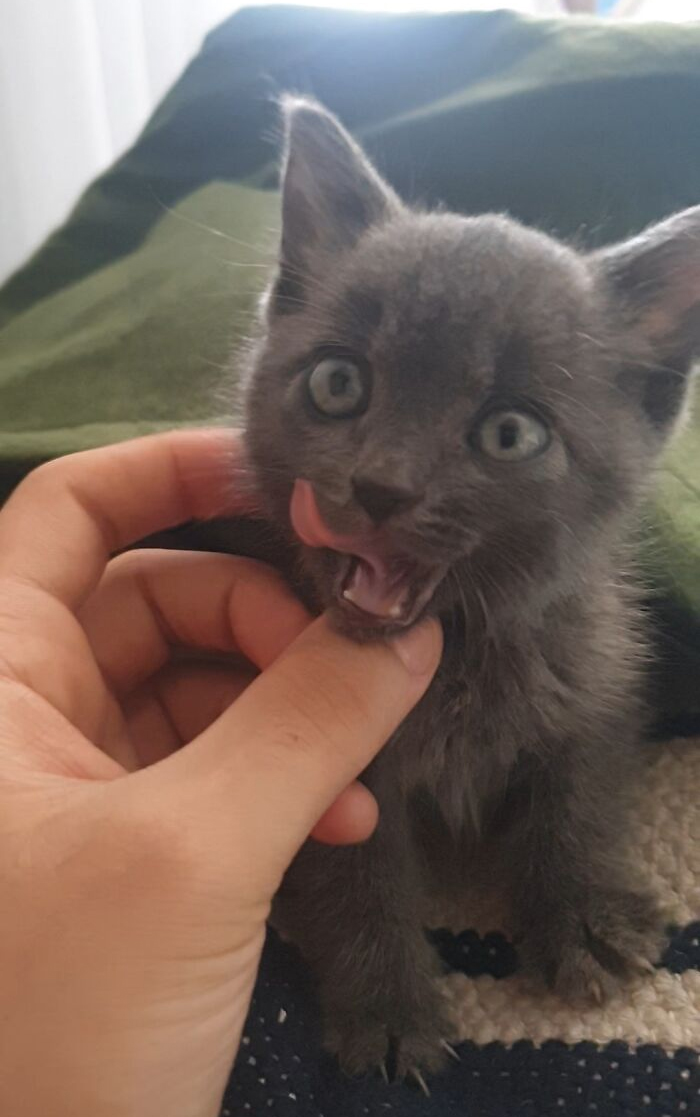 My Recently Adopted Little Girl. Found On The Streets