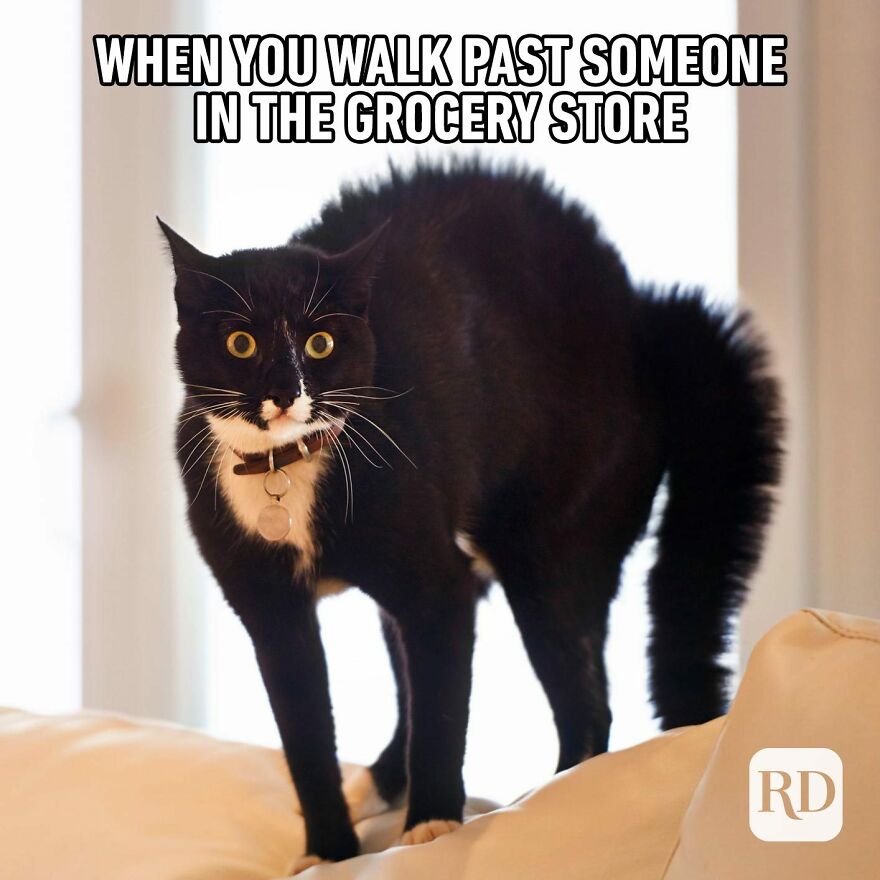 10 Relatable Memes That Will Make You Laugh