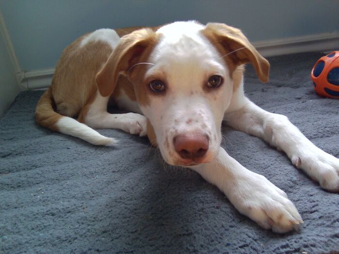 Me Doing My First Zoom Call