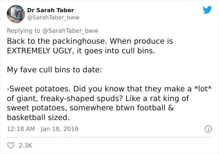 Produce Industry Expert Debunks The Misleading Marketing Behind The “Ugly Food” Movement