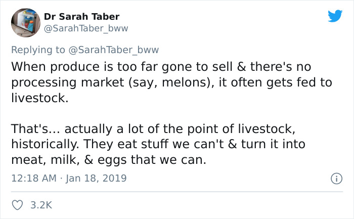 Produce Industry Expert Debunks The Misleading Marketing Behind The “Ugly Food” Movement