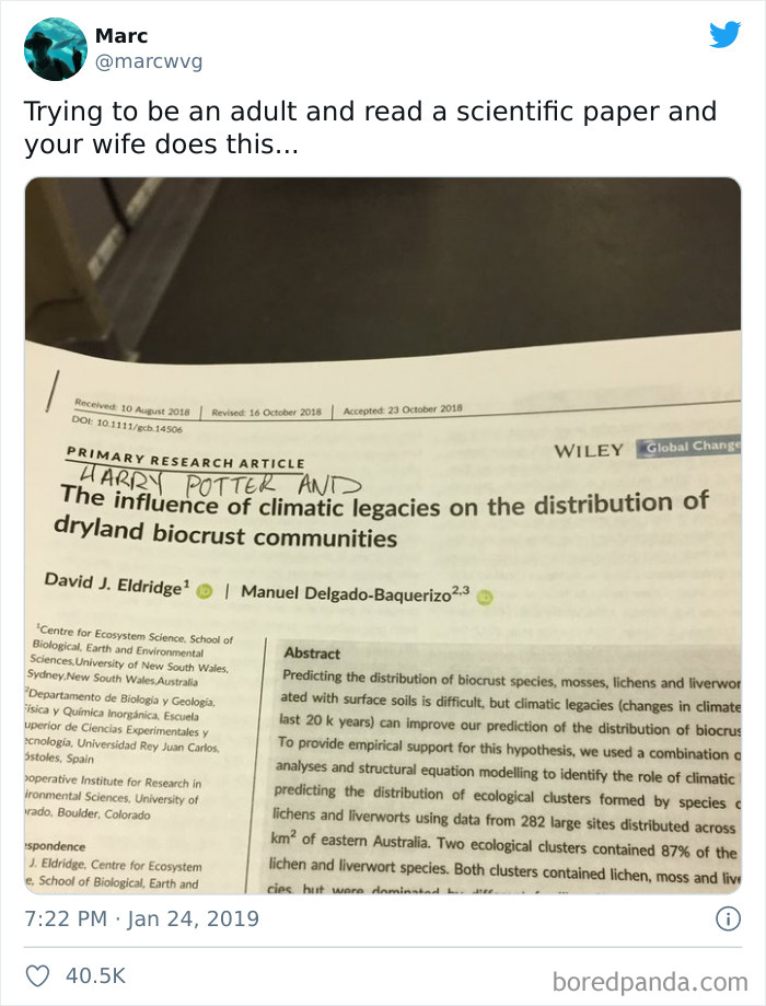 Scientific Paper