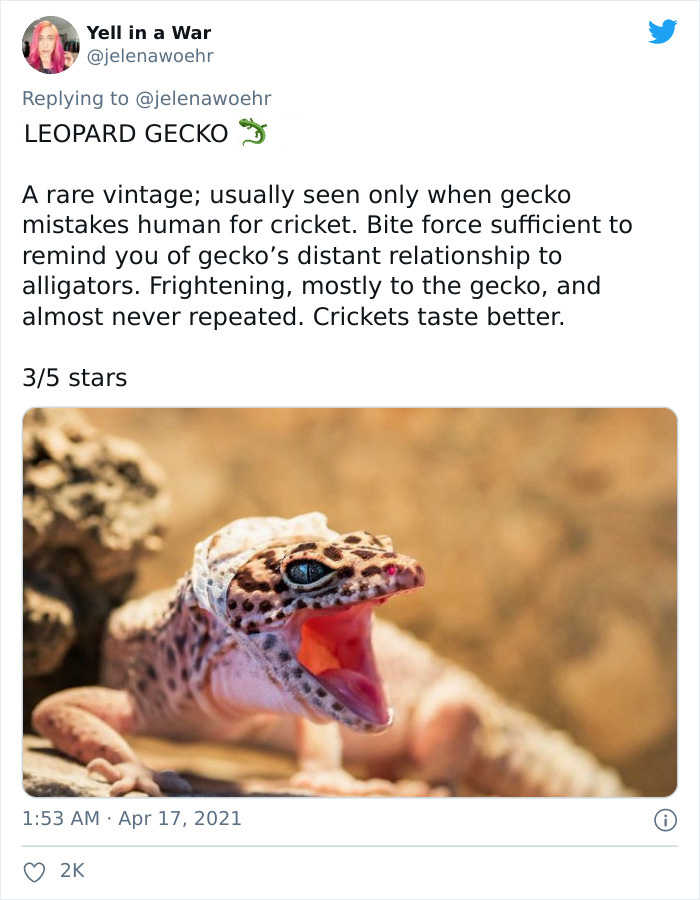 Animal-Bites-Being-Bitten-Review-Ranking-Twitter