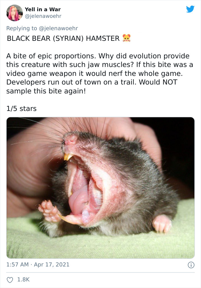 Animal-Bites-Being-Bitten-Review-Ranking-Twitter