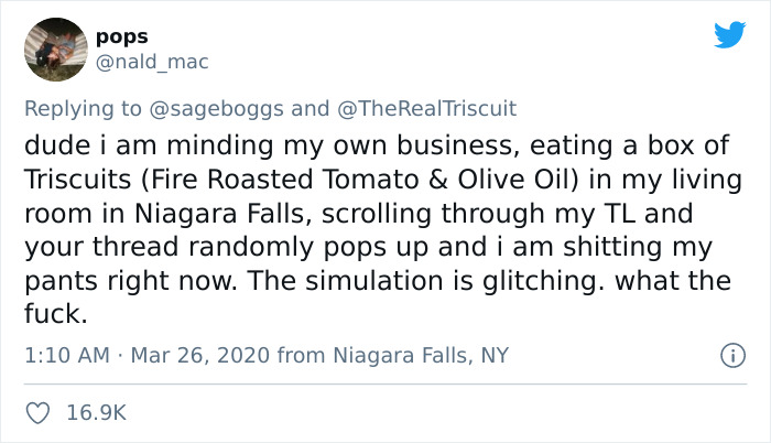 Cracker Brand &ldquo;Triscuit&rdquo; Rewarded Man For Explaining The Real Meaning Of Its Name