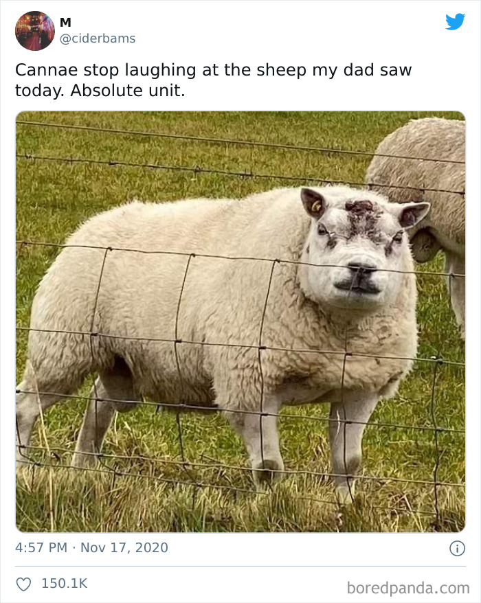 Baa Baa Motherf*©ke®s