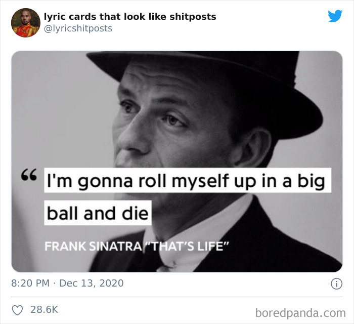 Funny-Stupid-Lyrics-Cards