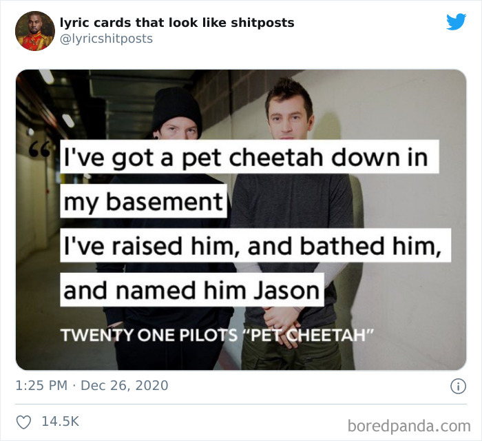 Funny-Stupid-Lyrics-Cards