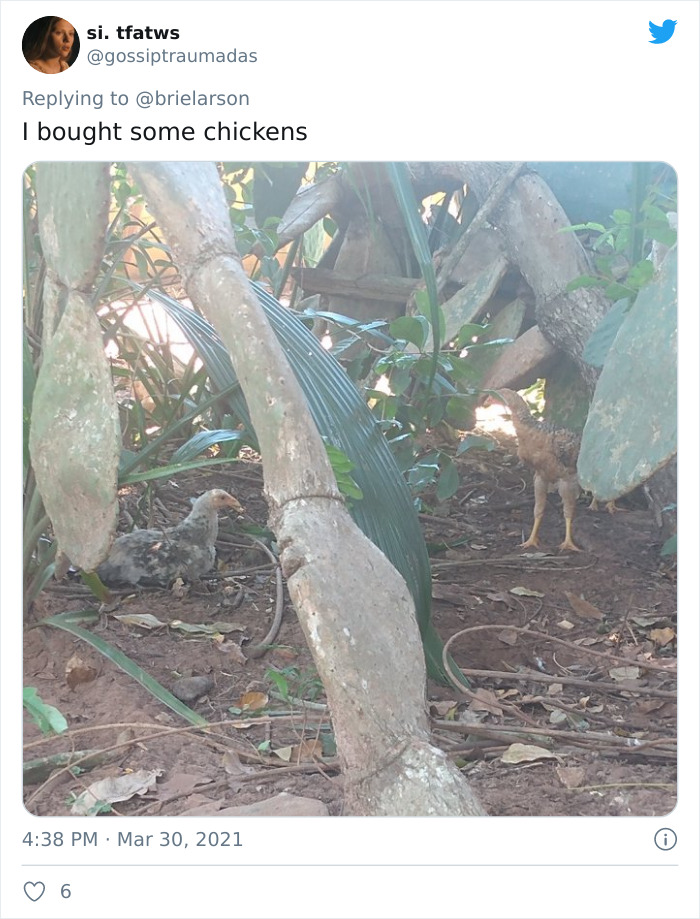 Tell-Me-Quarantine-One-Year-Telling