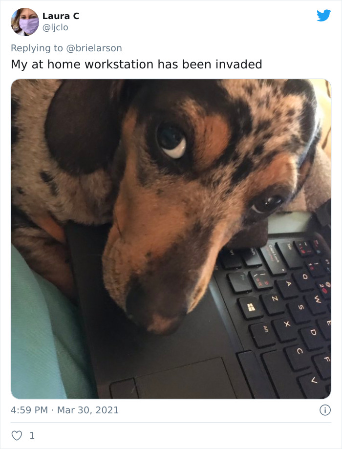 Tell-Me-Quarantine-One-Year-Telling