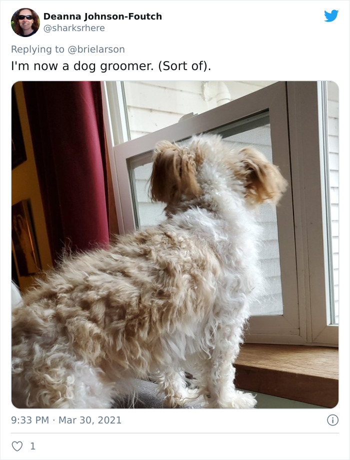 Tell-Me-Quarantine-One-Year-Telling