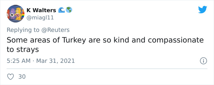 Viral Video Shows A Cat Walking Into A Hospital With Her Newborn Kitten To Get Medics To Help It