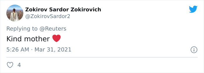 Viral Video Shows A Cat Walking Into A Hospital With Her Newborn Kitten To Get Medics To Help It