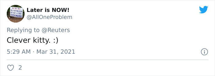 Viral Video Shows A Cat Walking Into A Hospital With Her Newborn Kitten To Get Medics To Help It