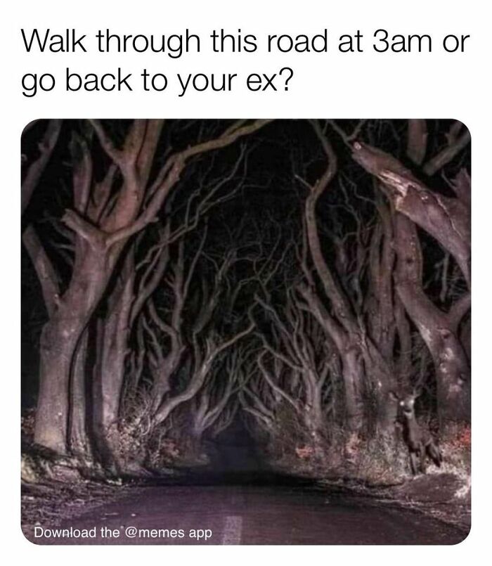 Funny-Single-People-Memes