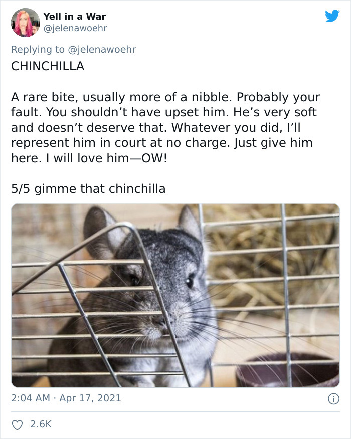 Animal-Bites-Being-Bitten-Review-Ranking-Twitter