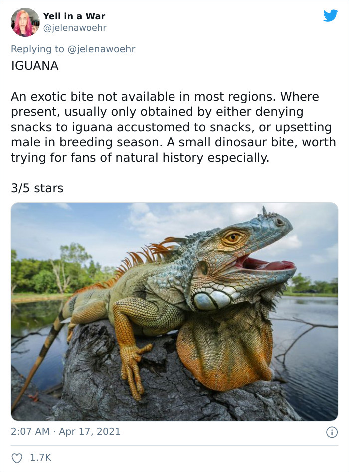 Animal-Bites-Being-Bitten-Review-Ranking-Twitter