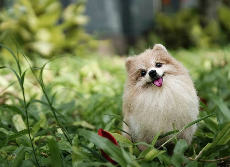 Body Might Be Gone, But Memories, Stay Forever 🖤
.
chiro In Vintage Celestial Theme🌛🖤⭐
swipe To Zoom In The Details!
.
#reallookseriesmootomotto #mminsidetheglass
#yorkie #celestial