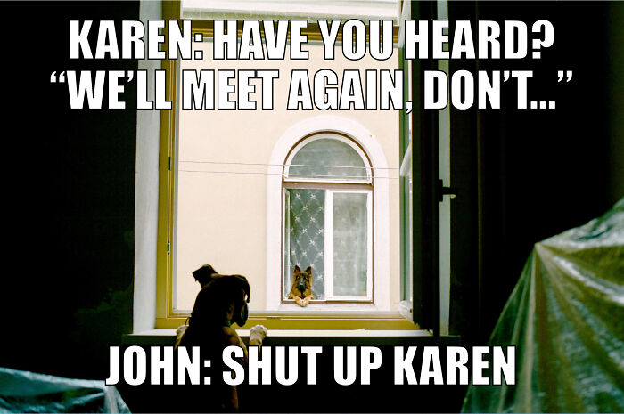 Animal-Friends-Comedy-Photo-Awards-Funny-Pet-Memes-Quarantine