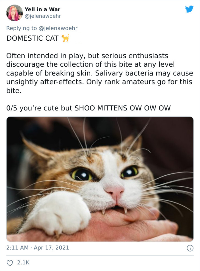 Animal-Bites-Being-Bitten-Review-Ranking-Twitter