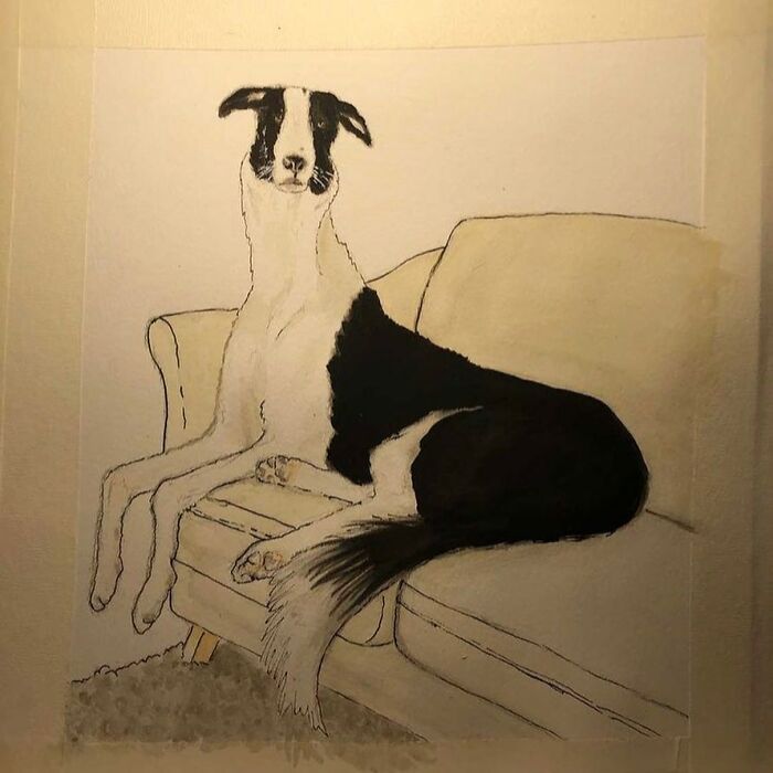 "Folks Claim That He Has Giraffe DNA In There Somewhere" - This Borzoi And German Shepherd Mixed Dog Has A Very Long Neck "Folks Claim That He Has Giraffe DNA In There Somewhere" - This Borzoi And German Shepherd Mixed Dog Has A Very Long Neck