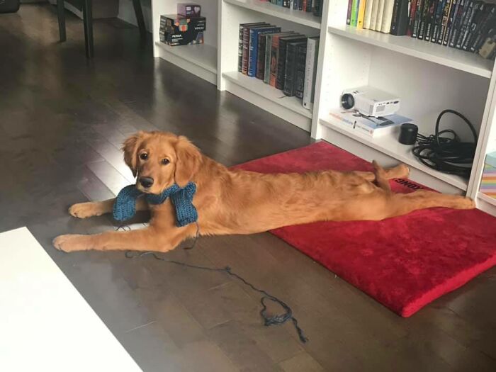 Why... Hello There! (Our Patsy At 5 Months)