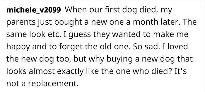 Artist Who Makes People Cry With Her Comics Released A Sequel To 'Little Fish' About The Spirit Of A Dog Visiting Its Owner Who Got A New Puppy Artist Who Makes People Cry With Her Comics Released A Sequel To 'Little Fish' About The Spirit Of A Dog Visiting Its Owner Who Got A New Puppy