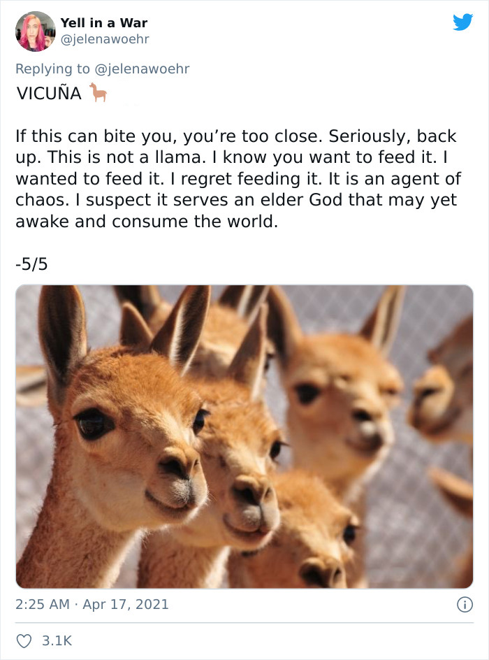 Animal-Bites-Being-Bitten-Review-Ranking-Twitter
